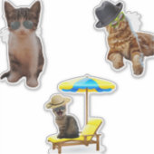 Katzen am Strand Aufkleber (Vorderseite)