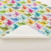 Katzen am Strand Sherpadecke (3/4)