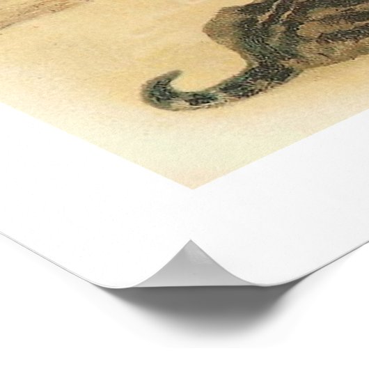 "Katzen am Strand" Vintag Poster (Ecke)