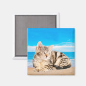 Katzen am Strand von Tropical Island Magnet (Vorderseite/Rückseite)