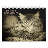 Katzen-Art DJ in Schwarzweiss Kalender (Titelbild)
