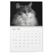 Katzen-Art DJ in Schwarzweiss Kalender (Mär 2027)