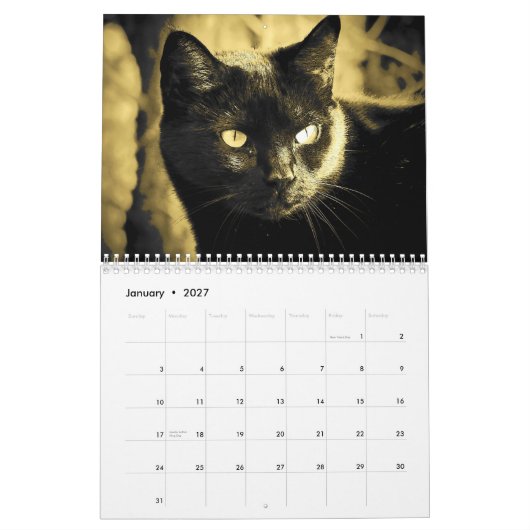 Katzen-Art DJ in Schwarzweiss Kalender (Jan 2027)