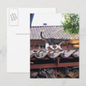 Katzen auf Dach des Schuppen Postkarte (Vorne/Hinten)