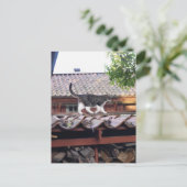 Katzen auf Dach des Schuppen Postkarte (Stehend Vorderseite)