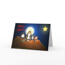 Katzen auf dem Dach, Frohe Weihnachten, Spaß