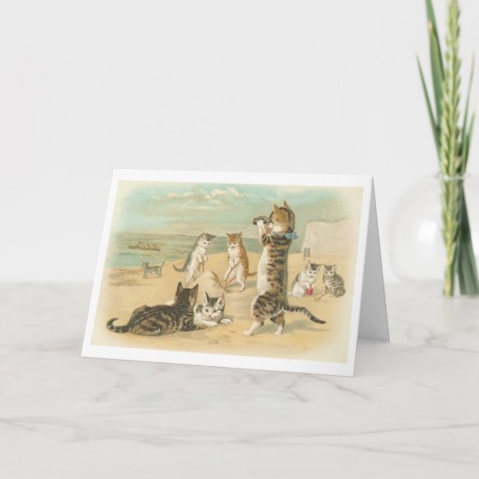 "Katzen auf dem Strand" Vintage Gruß-Karte Karte (Vorderseite)