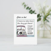 Katzen auf der Karte (Stehend Vorderseite)