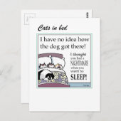 Katzen auf der Karte (Vorne/Hinten)