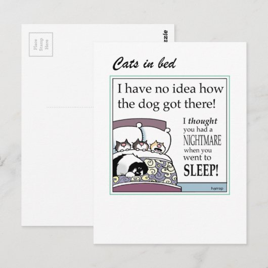 Katzen auf der Karte (Vorne/Hinten)