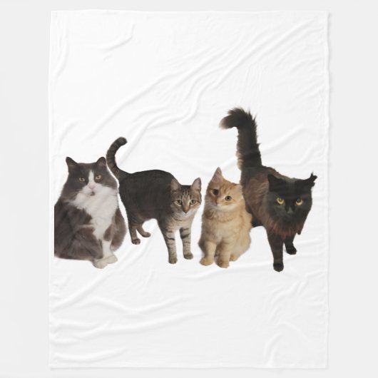 Katzen auf einer Decke (Vorderseite)