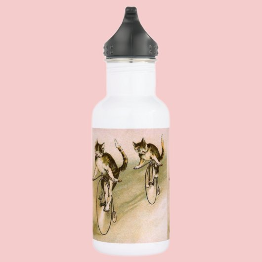 Katzen auf Rädern Trinkflasche