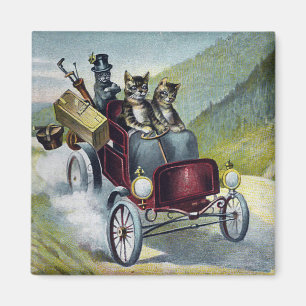 Katzen auf Tour durch die Catskill Mountains Magnet
