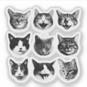 Katzen Aufkleber (Vorderseite)
