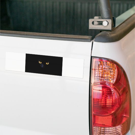 Katzen Augen Autoaufkleber (Auf Lkw)