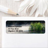 Katzen aus dem Nebel auf einer Orton-Adresse des T (Insitu)