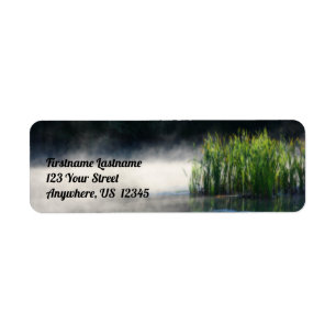 Katzen aus dem Nebel auf einer Orton-Adresse des T