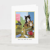 Katzen aus dem Wohnhaus neu geklappt Zuhause Karte (Vorderseite)