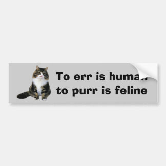 Katzen-Autoaufkleber Autoaufkleber