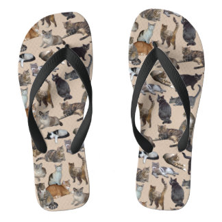 Katzen Badesandalen
