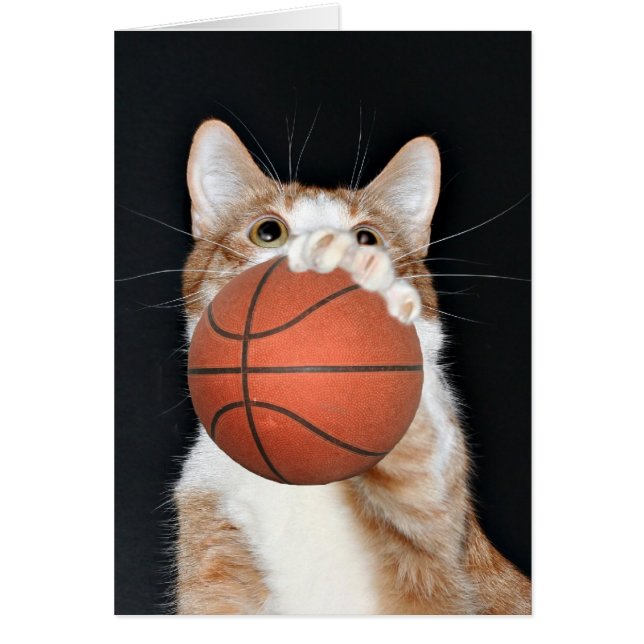 Katzen-Basketball (Vorne)