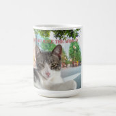 Katzen beherrschen die Welt Kaffeetasse (Mittel)