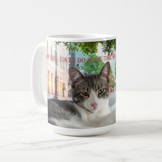 Katzen beherrschen die Welt Kaffeetasse (Vorderseite Links)