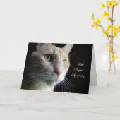 Katzen-Beileids-Karte Karte (Gelbe Blume)