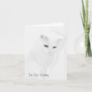 Katzen-Beileids-Karte Karte