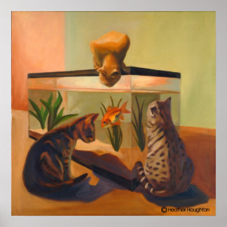 Katzen beobachten Fisch Poster