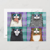 Katzen bis zu keine gute Postkarte (Vorne/Hinten)