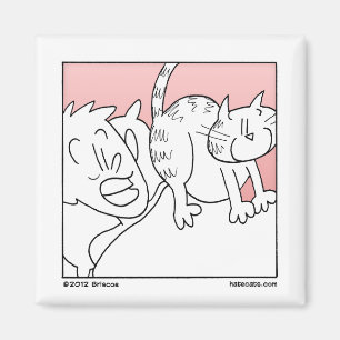 Katzen-böse Erwachen Magnet