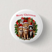 Katzen
