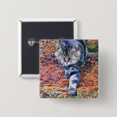 KATZEN BUTTON (Vorne & Hinten)