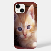 Katzen Case-Mate iPhone Hülle (Rückseite)