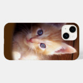 Katzen Case-Mate iPhone Hülle (Rückseite (Horizontal))