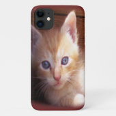 Katzen Case-Mate iPhone Hülle (Rückseite)