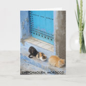 Katzen, Chefchaouen, Marokko Karte (Vorderseite)
