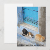 Katzen, Chefchaouen, Marokko-Karte (Vorne/Hinten)