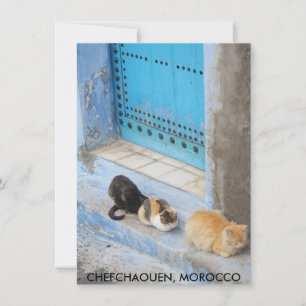 Katzen, Chefchaouen, Marokko-Karte
