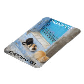Katzen, Chefchaouen, Marokko Magnet (Linke Seite)