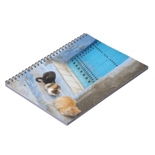 Katzen, Chefchaouen, Marokko Notizblock (Linke Seite)