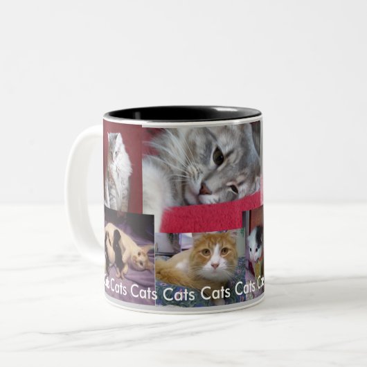 Katzen-Collagenschale Zweifarbige Tasse (Vorderseite Links)