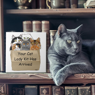 Katzen-Dame Starter-Kit Fliese