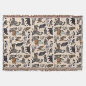 Katzen 😺 😻 Decke werfen 😽 (Vorderseite)