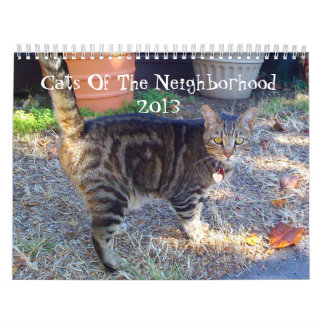 Katzen der Nachbarschaft 2013 Kalender