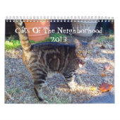 Katzen der Nachbarschaft 2013 Kalender (Titelbild)