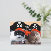 KATZEN DER PIRATE UND KARTEN DER ANTIKEN PIRATEN (Stehend Vorderseite)