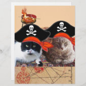 KATZEN DER PIRATE UND KARTEN DER ANTIKEN PIRATEN (Vorne/Hinten)