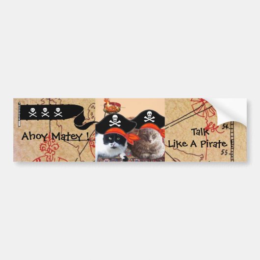 KATZEN DER PIRATEN ANTIQUE PIRATES TREASPAKETE UND AUTOAUFKLEBER (Vorne)